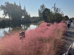 -嘉北郊野公园