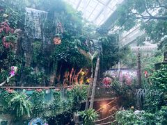 -正佳雨林生态植物园