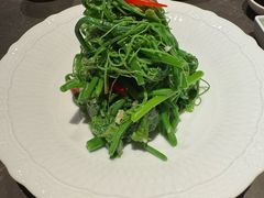 炝拌丝瓜尖-金鸭季·北京烤鸭(深业上城店)