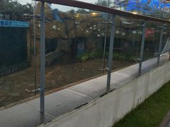 -瑞德姆美人鱼海底演艺主题餐厅(亚龙湾店)