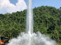 -西双版纳原始森林公园