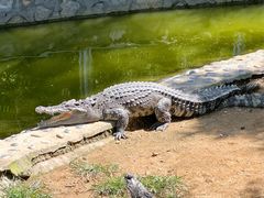 -石家庄市动物园
