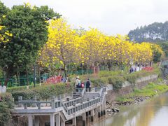 -长洲岛