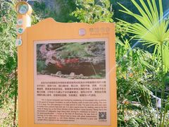 -十九峰景区