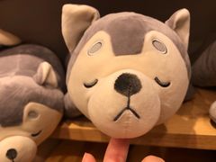 -名创优品(光耀东方购物中心店)