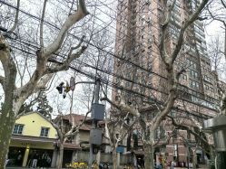 -海豚湾高端月子会所(黄浦店)