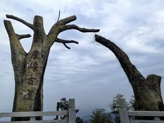 -长沙黑麋峰国家森林公园