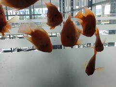 -苏州利星奔驰4S店(吴中店)