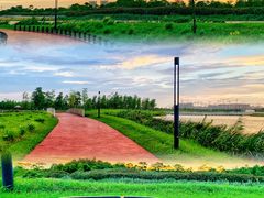 -春花秋色城市公园