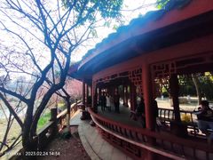 -望江楼公园
