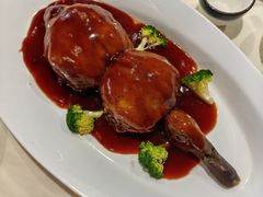 -丁老爷子苏香圆