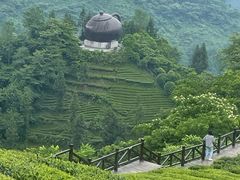 -铂尔登智慧酒店(南山西丽地铁站店)
