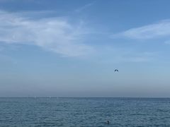 -小巴塞罗那海滩