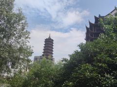 -长兴太湖图影湿地文化园