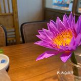 适合拍照口味又不错的东南亚店店