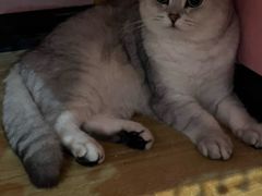 -悠米私人影院(街道口店)