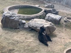 -无锡动物园·太湖欢乐园