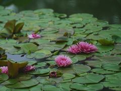 -国家植物园南园