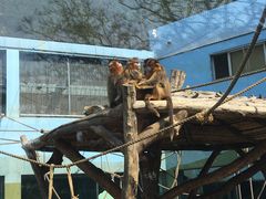 -大连森林动物园