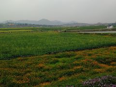 -光明小镇欢乐田园