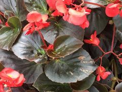 -艾溪湖湿地公园