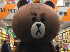 -line friends(明洞旗舰店)