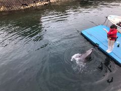 -鹿儿岛水族馆