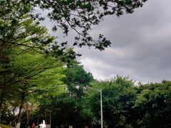 -松山湖风景区松湖烟雨