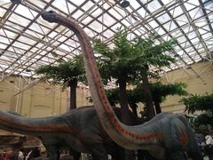 -国家自然博物馆