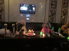 -皇马纯KTV(景田店)