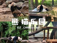 -广州长隆野生动物世界