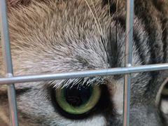 -爱诺动物医院(崂山店)