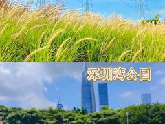 -笔架山公园