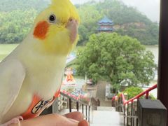 -严子陵钓台(富春江小三峡)