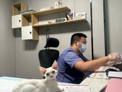 -半岛宠物医院24小时(科华中路店)