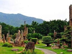 -深圳仙湖植物园