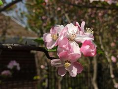 -静安公园(静安寺街道)