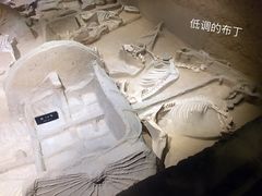 景点-洛阳周王城天子驾六博物馆