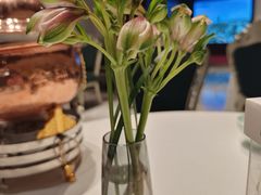 -巴音浩日娲酒楼(双林东路店)