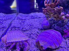 -太平洋海底世界