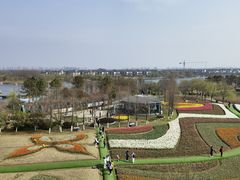 -杭州湾海上花田景区
