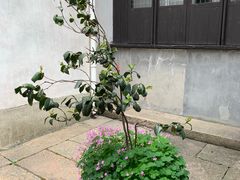 -乌镇东栅景区-茅盾故居