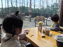 -上海野生动物园老虎餐厅