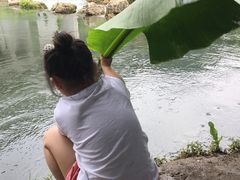 -贵阳市花溪国家城市湿地公园