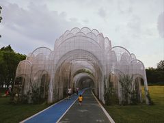 -渤公岛生态公园