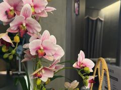 -施奈儿.洗头頭療.按摩SPA.采耳(上梅林店)