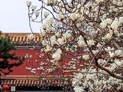 -北京市劳动人民文化宫(太庙)