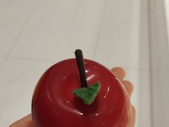 -GANSO元祖食品(未来路店)