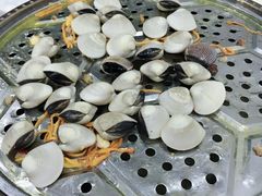 -凯盈阁·顺德私房菜·桑拿鸡