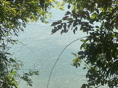 -羚羊峡古栈道森林公园